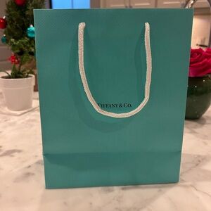 Tiffany & Co. Shopping Bag